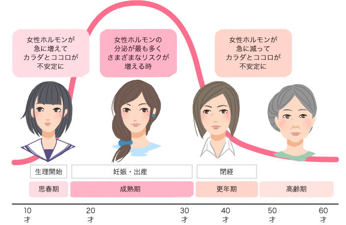 女性のライフサイクルと女性ホルモンの関係