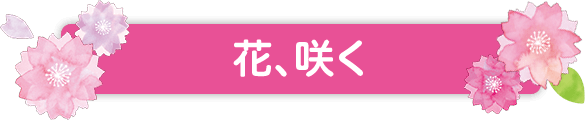 花、咲く