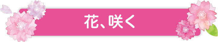 花、咲く