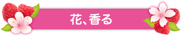 花、香る