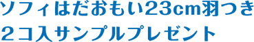 ソフィはだおもい23cm羽根つき2コ入サンプルプレゼント