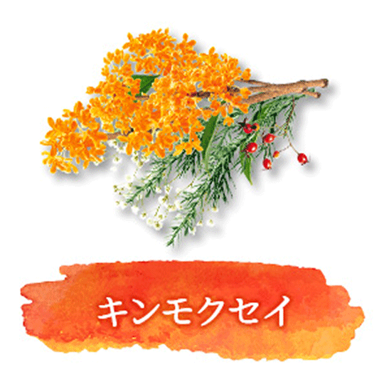 キンモクセイ
