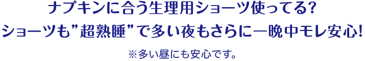 ナプキンに合う生理用ショーツ使ってる？ ショーツも&rdquo;超熟睡&rdquo;で多い夜もさらに一晩中モレ安心！ ※多い昼にも安心です。