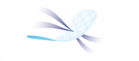 img-feature-03.png