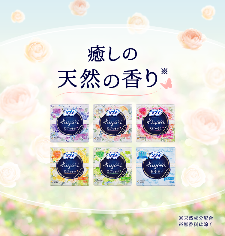 ソフィKiyora