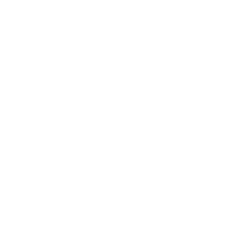 ソフィ SPORTS 260 羽なし 24枚